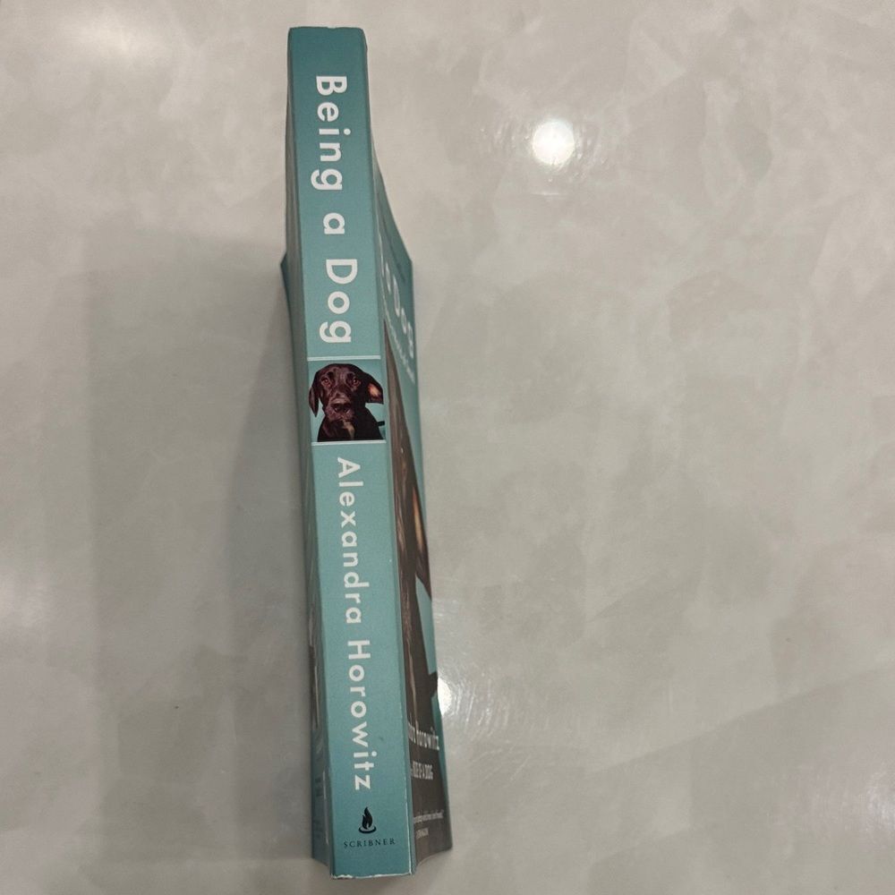 Being a Dog by Alexandra Horowitz - Hardcover - Picture 3 of 4